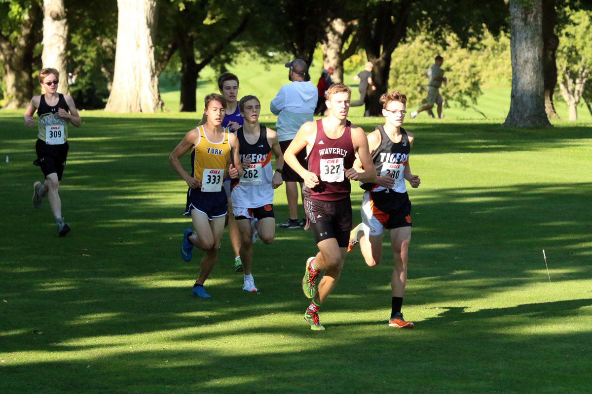York Cross Country Invite (29).jpg
